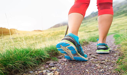 CAP EFFICACITÉ SCOLAIRE | Les intelligences multiples