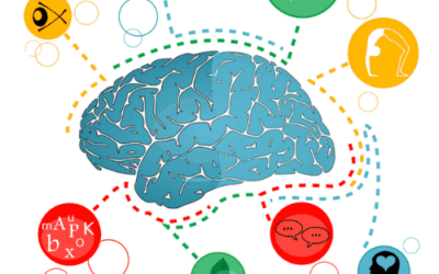 Les intelligences multiples