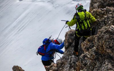 Orientation scolaire